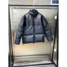 Louis Vuitton Down Jackets